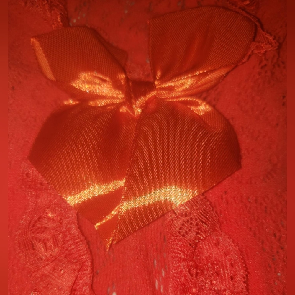 Lingerie - Picture 4 of 5
